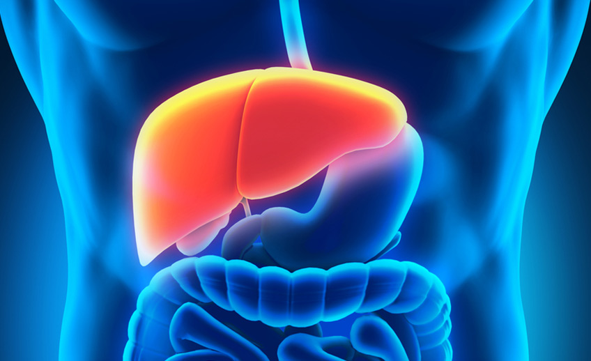 Liver Disorders Diseases Orlando Gastroenterology Consultants